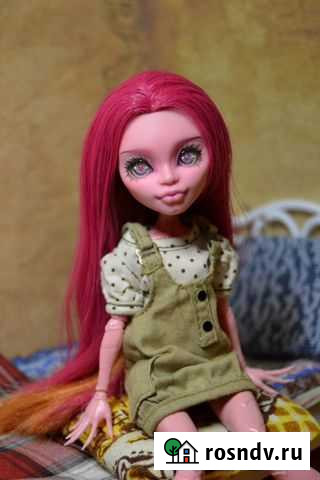 Ooak Monster High RonnikBC Товарково - изображение 1
