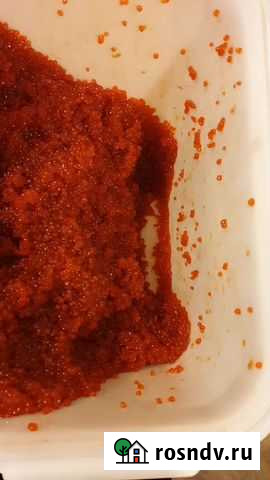 Красная икра 2021 Красноярск - изображение 1