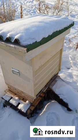 Улей лежак Емельяново - изображение 1