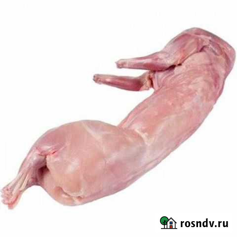 Мясо и яйцо птицы, кролик Рязань - изображение 1