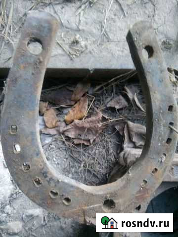 Подкова для лошади Каневская - изображение 1