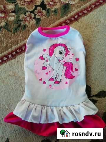 Платье для собаки Заринск - изображение 1