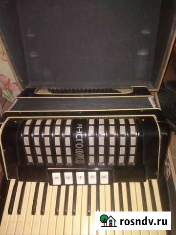 Аккордеон Краснодар - изображение 1