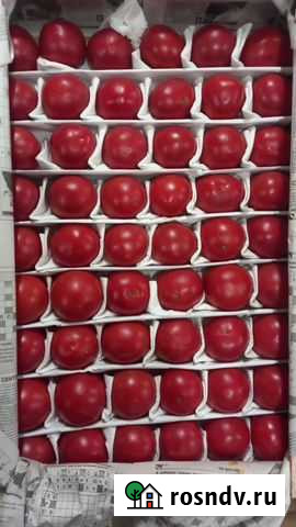 Сочные томаты. Ящик Санкт-Петербург - изображение 1