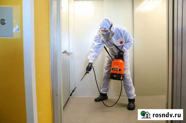 Уничтожение тараканов клопов блох крыс covid19 Астрахань - изображение 1