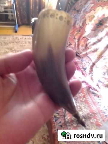 Рог костяной Самара - изображение 1