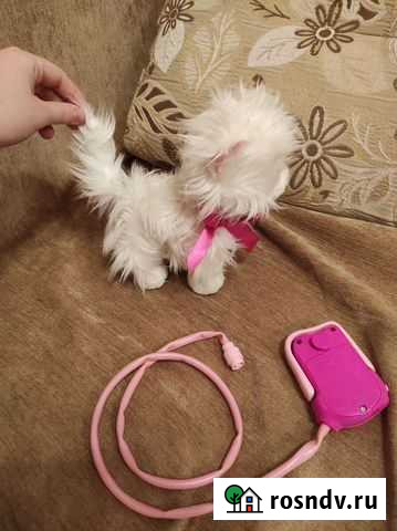 Интерактивная игрушка кошка на поводке Рыбинск - изображение 1
