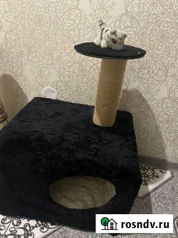Домик для кошки с когтеточкой Екатеринбург - изображение 1