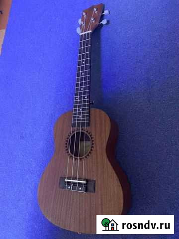 Гитара Выкса - изображение 1