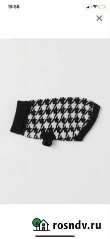 Свитер для собаки Симферополь - изображение 1