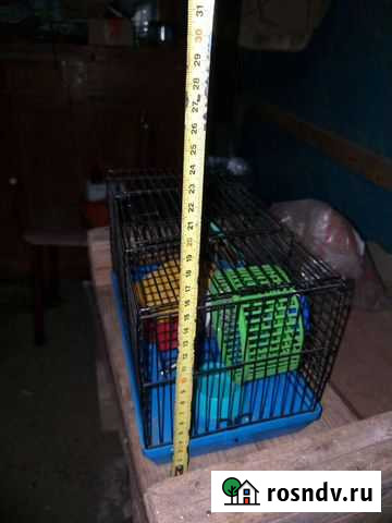 Клетка Брюховецкая - изображение 1