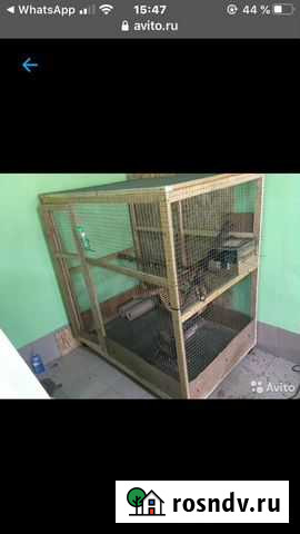 Клетка для белки Чалтырь - изображение 1