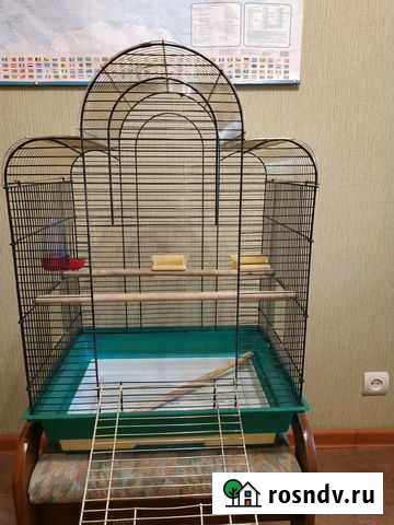 Клетка для попугая корелла Свободный - изображение 1