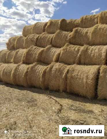 Сено Киселевск - изображение 1