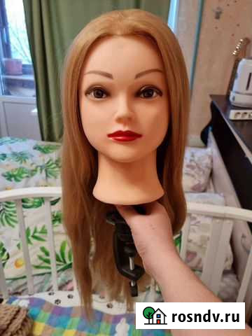 Тренировочная манекен-голова Выборг - изображение 1