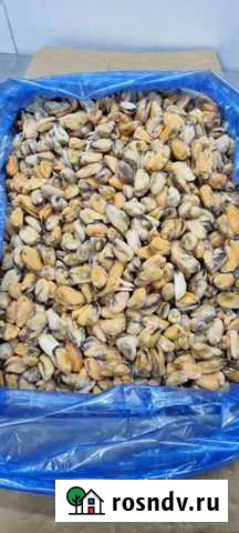 Мидия филе Хабаровск - изображение 1