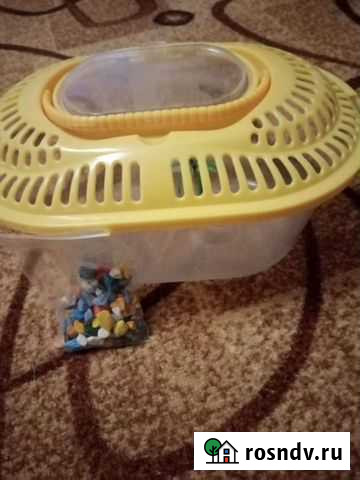 Аквариум Ленинградская - изображение 1