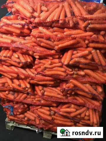 Морковь мытая Санкт-Петербург - изображение 1