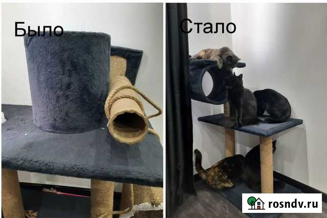 Когтеточка (ремонт) Евпатория - изображение 1