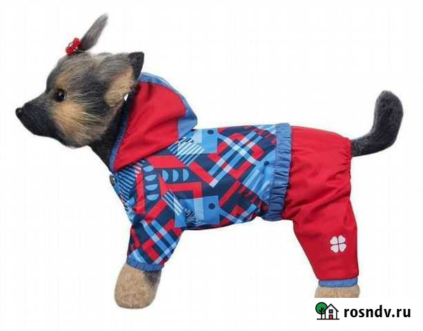 Одежда для Животных Владимир - изображение 1