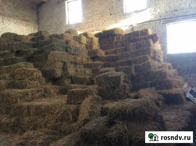 Сено Климовск - изображение 1