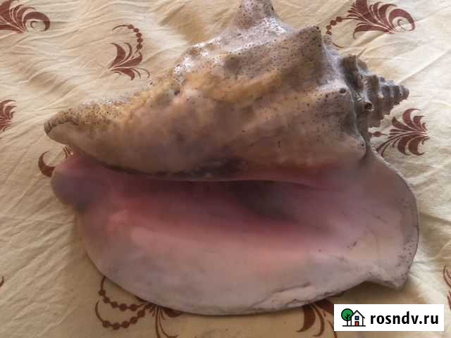 Раковина Москва - изображение 1