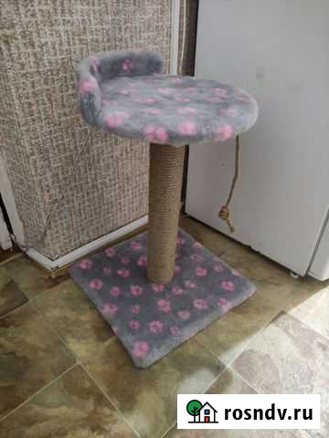 Когтеточка Калининград - изображение 1