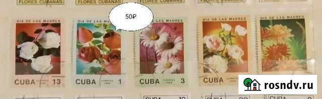 Марки флора Всеволожск - изображение 1