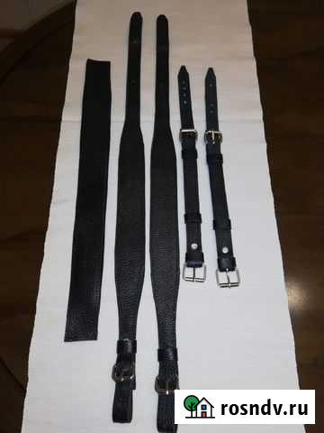 Ремни для гармони, аккордеона, баяна Челябинск - изображение 1