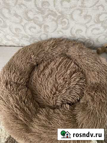 Лежак для животных Барнаул - изображение 1