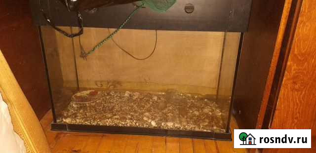 Аквариум 90 литров Уфа - изображение 1