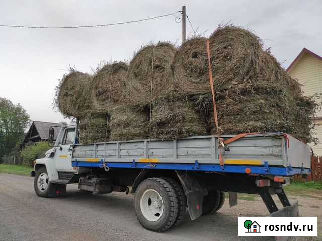 Сено свежий урожай, Солома Доставка навоз в мешках Нижний Тагил - изображение 1