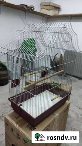 Клетка для птиц Самара - изображение 1