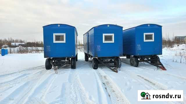 Прицеп шасси Дельта 830927-11, 2014 Солнечный - изображение 1