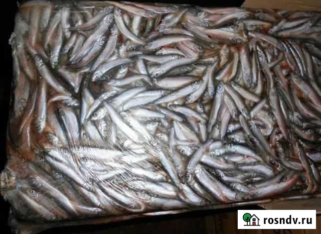 Килька для собак Челябинск - изображение 1