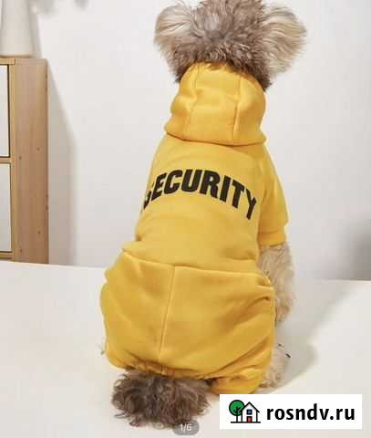 Комбинезон для собак Ангарск - изображение 1