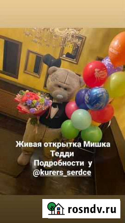 Поздравление от Мишки Тедди Комсомольск-на-Амуре - изображение 1