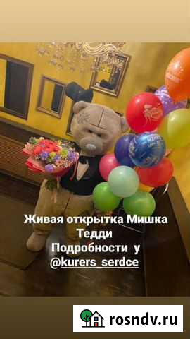 Поздравление от Мишки Тедди Комсомольск-на-Амуре - изображение 1