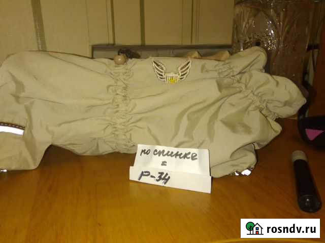 Комбинезон для собаки Видное - изображение 1