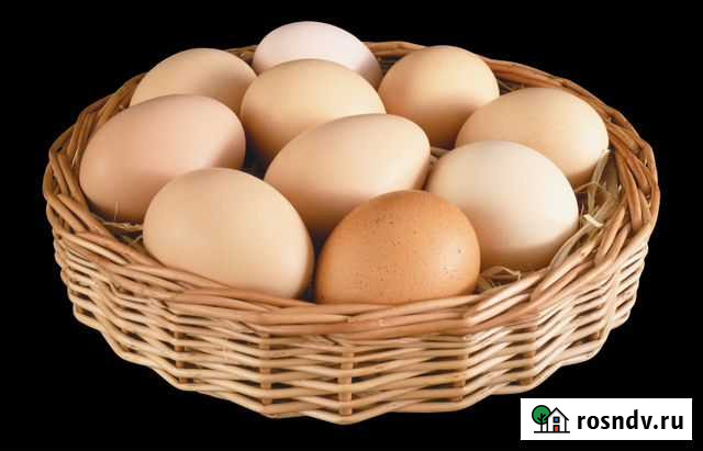 Яйца Подольск - изображение 1