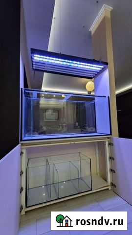 Морской аквариум Таганрог - изображение 1