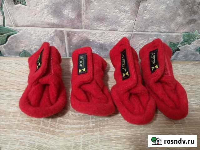 Ботиночки для собак Подольск - изображение 1