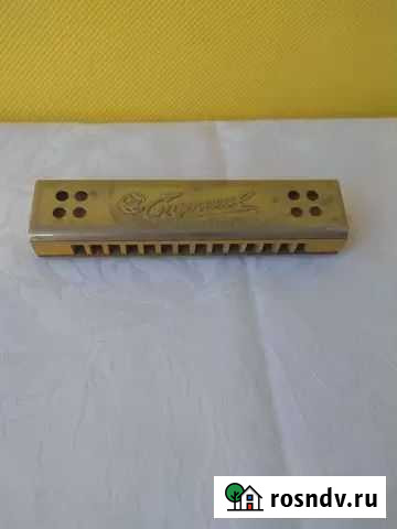 Губная гармошка СССР Спутник Челябинск - изображение 1