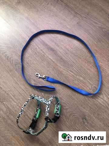 Шлейка для собаки Петрозаводск - изображение 1