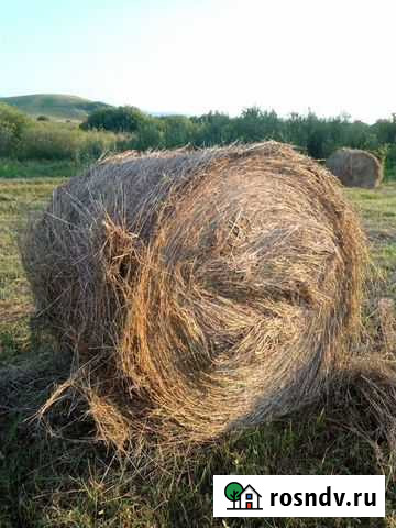 Продам сено в рулонах Алтайское - изображение 1