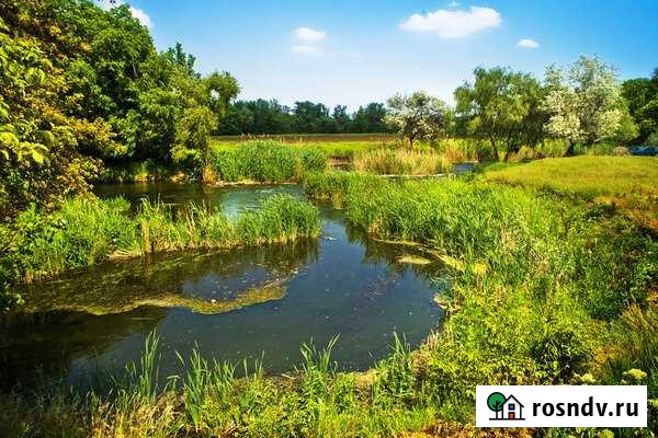 Участок ИЖС 50 сот. на продажу в Павловске Алтайского края Павловск - изображение 1