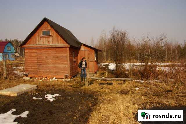 Дача 25 м² на участке 12 сот. на продажу в Собинке Собинка - изображение 1