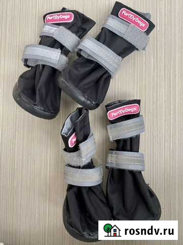 Обувь для собак Мурино - изображение 1