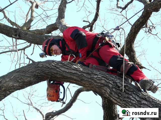 Спил Деревьев Натухаевская. Удаление, Обрезка Натухаевская - изображение 1