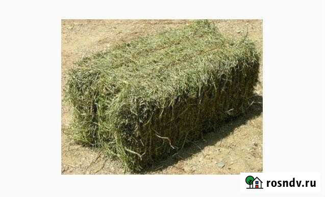 Сено Ефремов - изображение 1